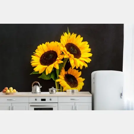 Fotomural girasoles sobre fondo negro – Pixers®