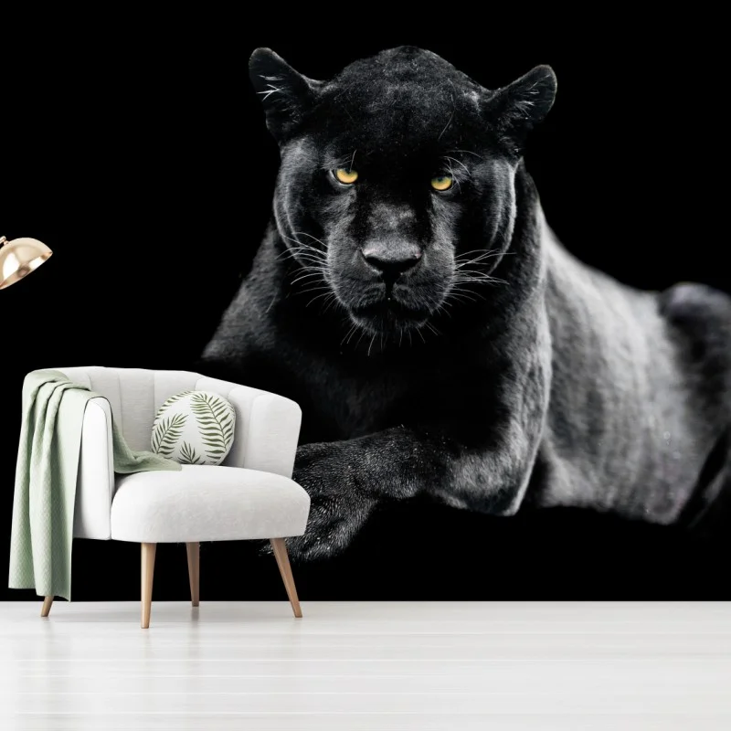 Fotomural mirada intensa de la pantera negra