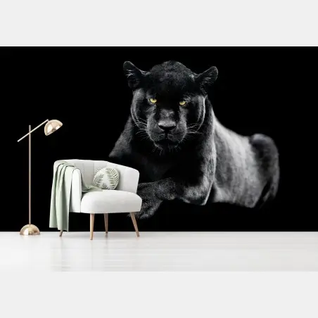 Fotomural mirada intensa de la pantera negra – Pixers®