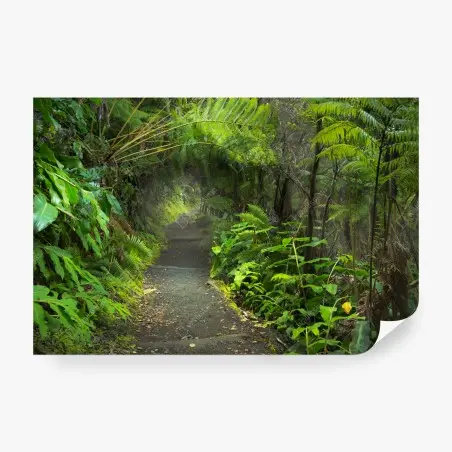 Fotomural sendero del bosque lluvioso en Kilauea Iki – Pixers®