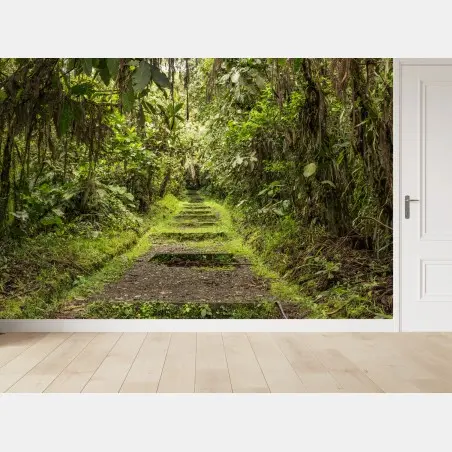 Fotomural sendero entre la selva tropical – Pixers®