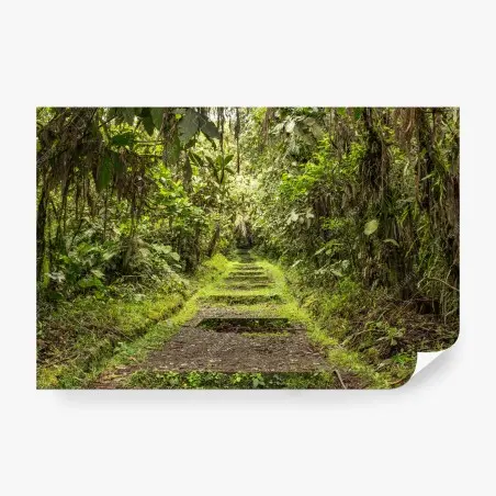 Fotomural sendero entre la selva tropical – Pixers®