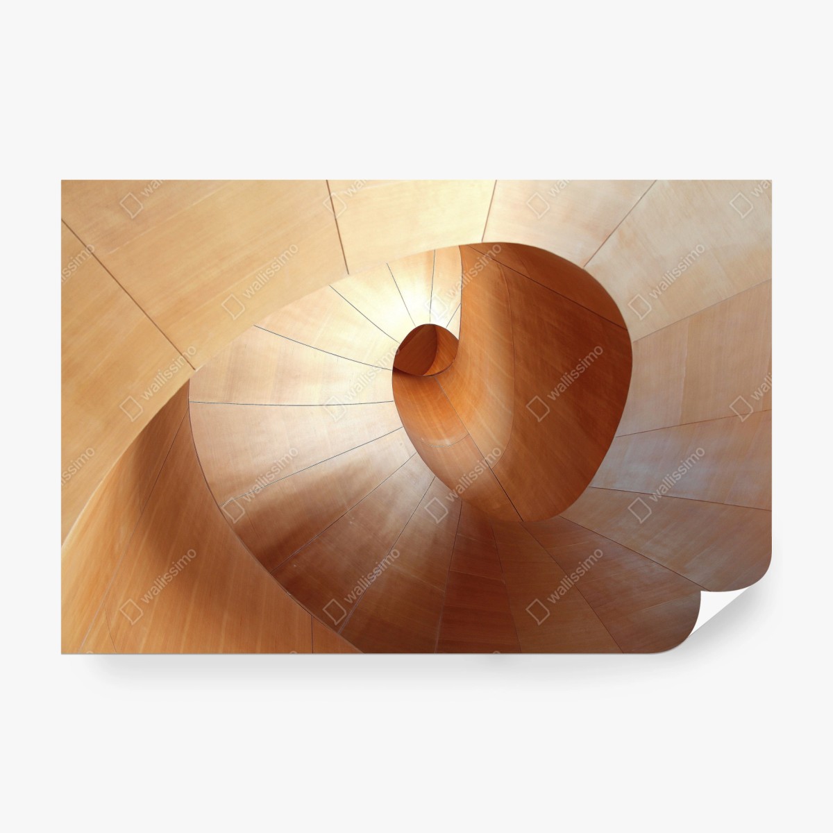 Fotomural espiral arquitectónica de madera minimalista – Pixers®