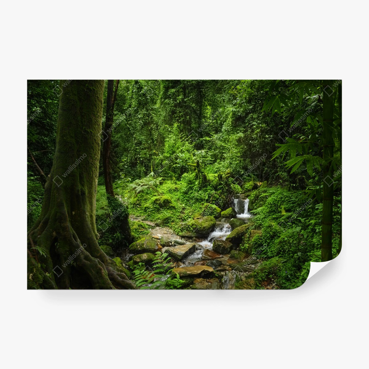 Fotomural escena de bosque esmeralda con arroyo – Pixers®