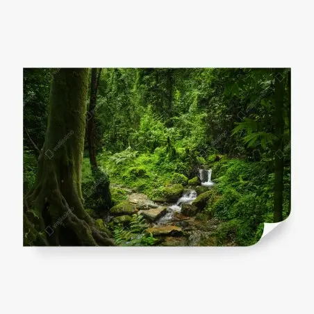 Fotomural escena de bosque esmeralda con arroyo – Pixers®