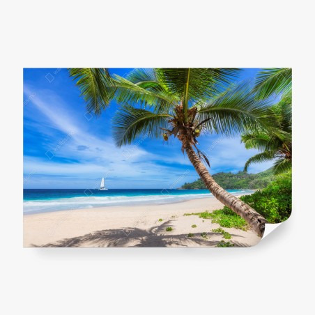 Fotomural escena de playa tropical con palmera inclinada y velero – Pixers®