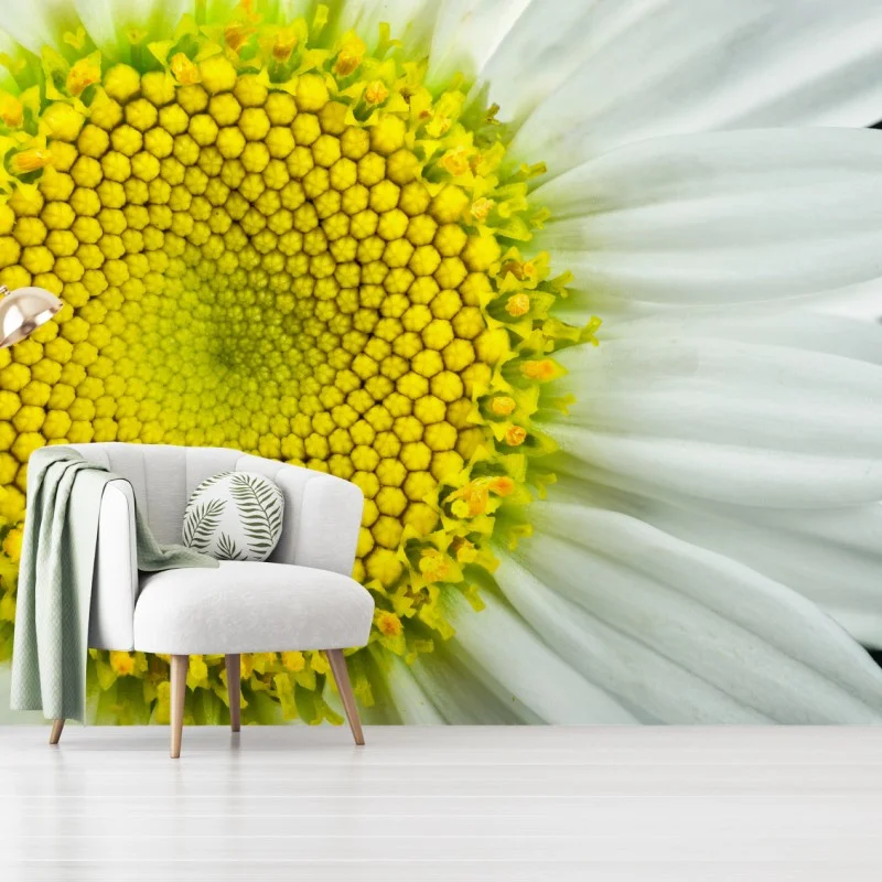 Fotomural margarita en primer plano con patrón Fibonacci