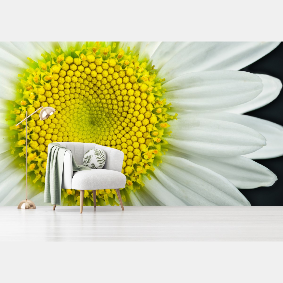 Fotomural margarita en primer plano con patrón Fibonacci – Pixers®