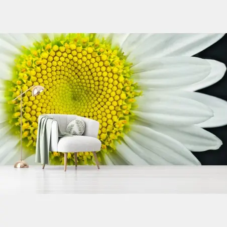 Fotomural margarita en primer plano con patrón Fibonacci – Pixers®