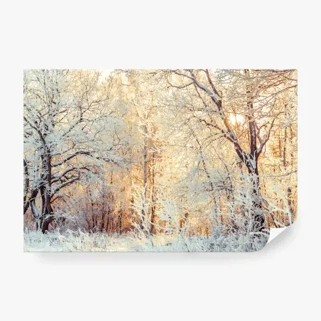 Fotomural bosque invernal al atardecer – Pixers®