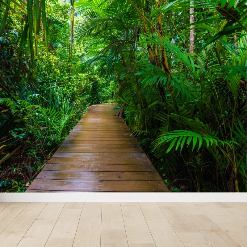 Fotomural pasarela en manglar: paseo entre verdes