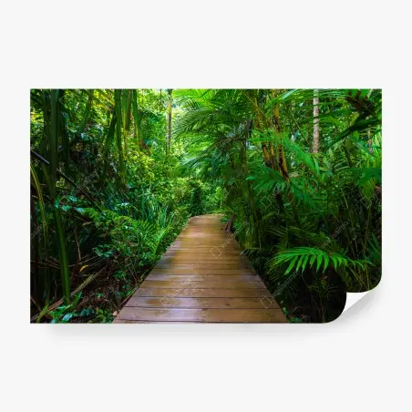 Fotomural pasarela en manglar: paseo entre verdes – Pixers®