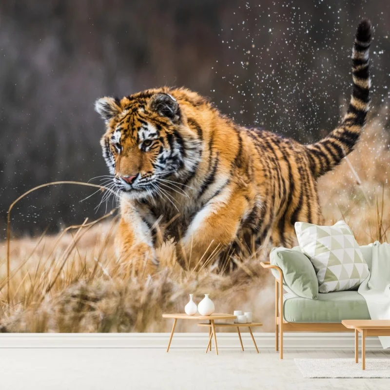 Fotomural tigre siberiano en la pradera: fuerza en movimiento