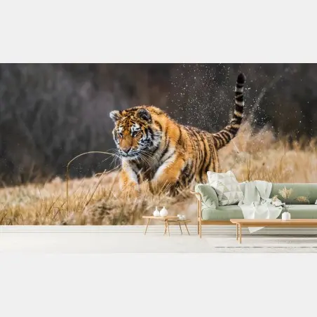 Fotomural tigre siberiano en la pradera: fuerza en movimiento – Pixers®