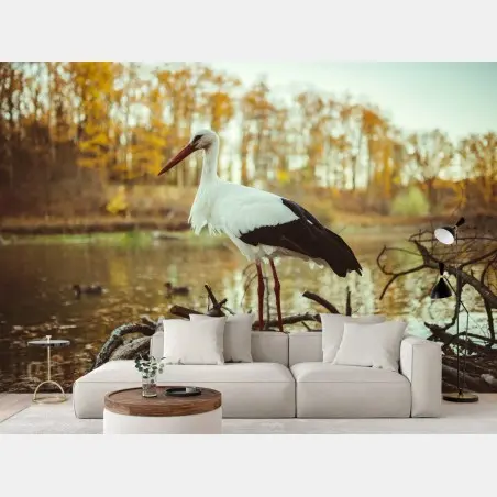 Fotomural cigüeña en el lago otoñal – Pixers®