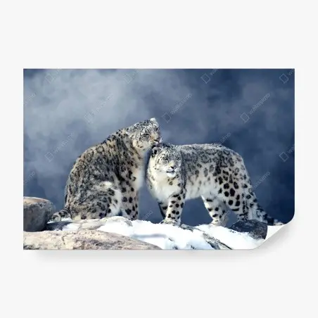 Fotomural pareja de leopardos de las nieves en paisaje invernal – Pixers®