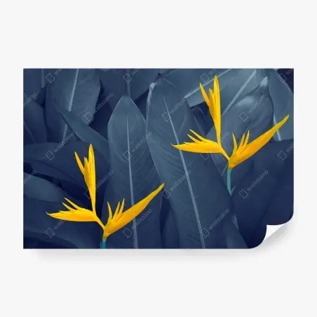 Fotomural elegancia tropical en tonos azul y amarillo – Pixers®