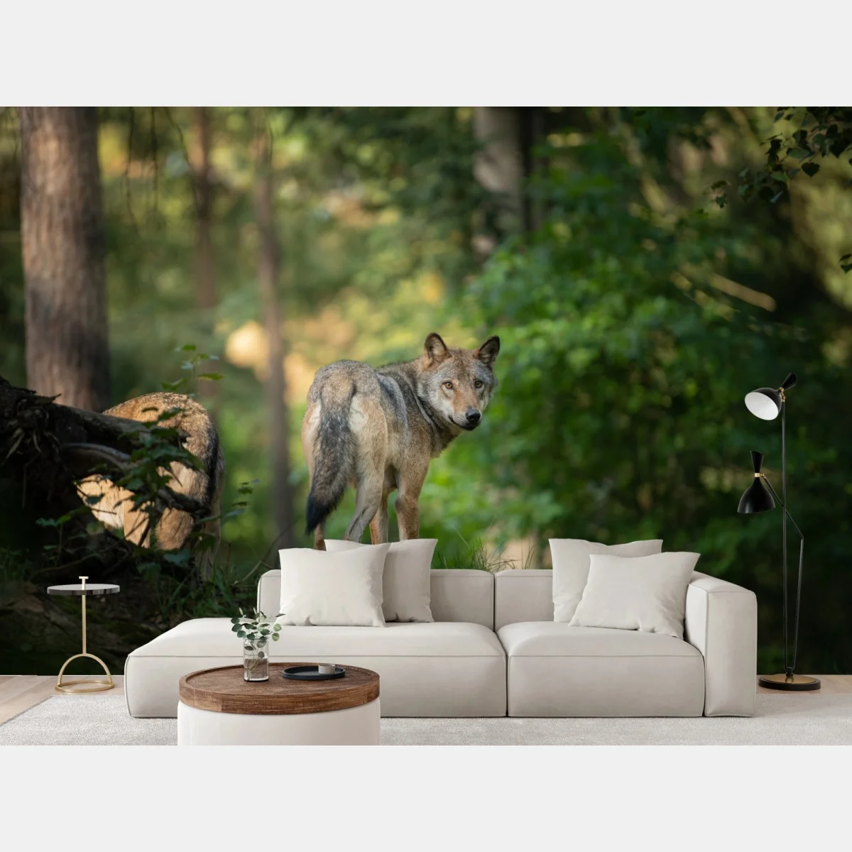 Fotomural lobo en el bosque al amanecer – Pixers® Fotomural lobo en el bosque al amanecer – Pixers®