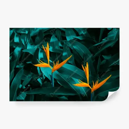 Fotomural flores tropicales ave del paraíso sobre follaje esmeralda – Pixers®