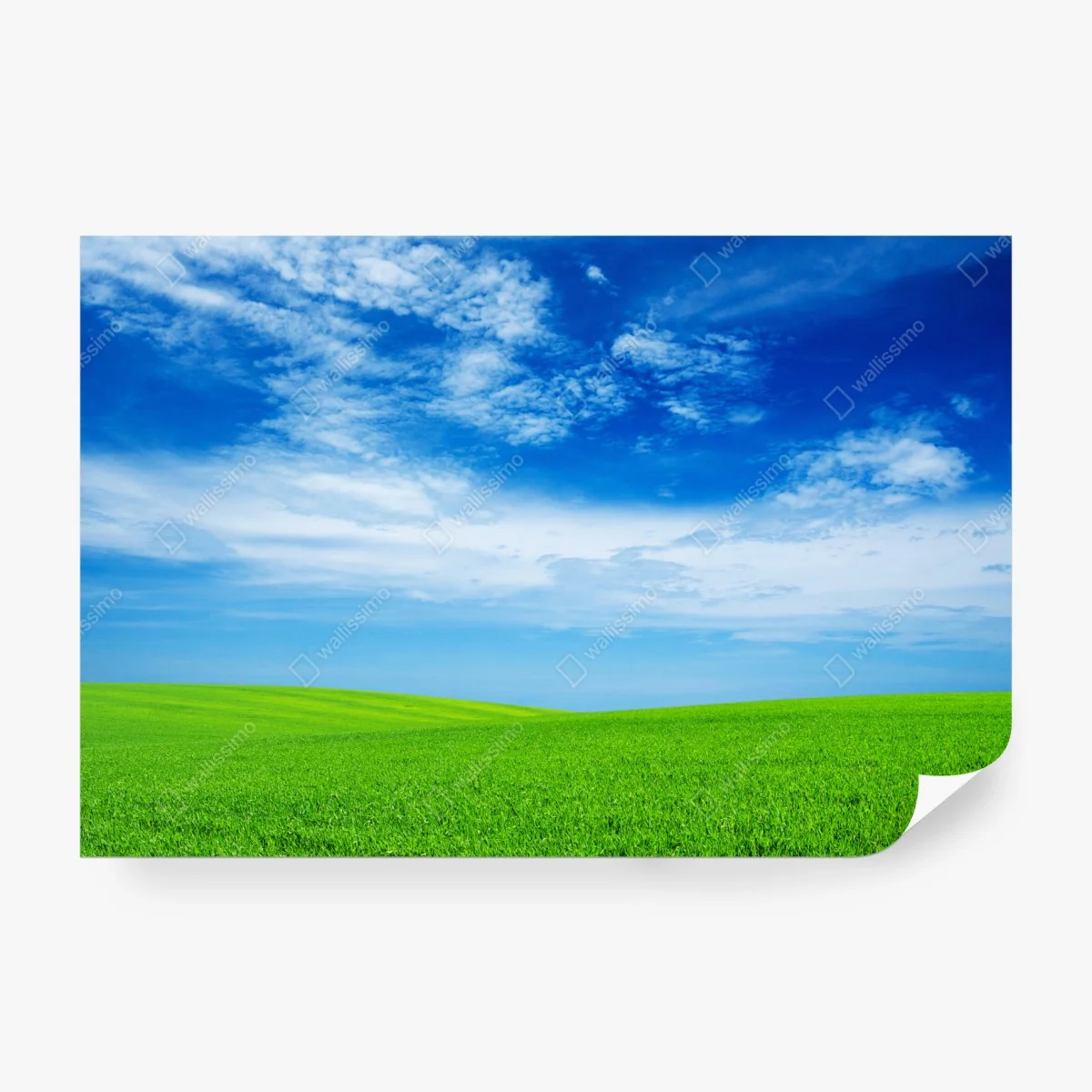 Fotomural pradera verde bajo cielo azul brillante – Pixers®
