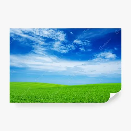 Fotomural pradera verde bajo cielo azul brillante – Pixers®