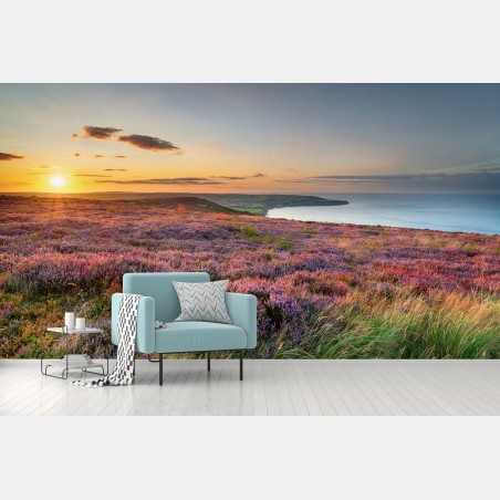 Fotomural atardecer sobre brezos en North York Moors – Pixers®