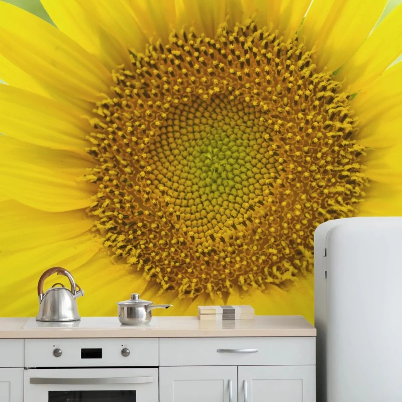 Fotomural girasol luminoso en primer plano