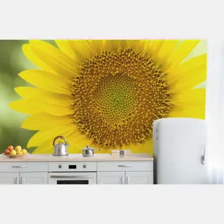 Fotomural girasol luminoso en primer plano – Pixers®