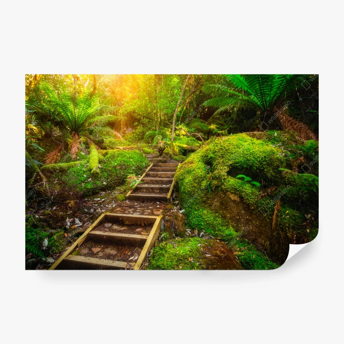 Fotomural sendero jurásico en la península de Tasman, Tasmania – Pixers®