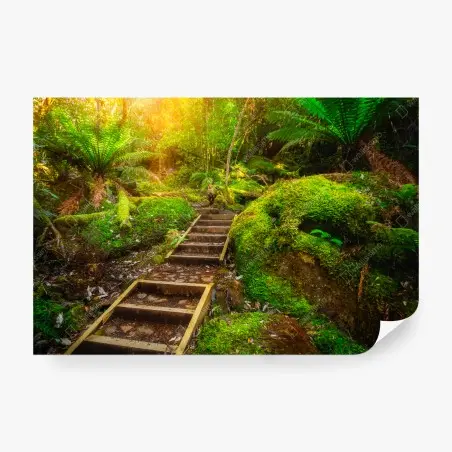Fotomural sendero jurásico en la península de Tasman, Tasmania – Pixers®