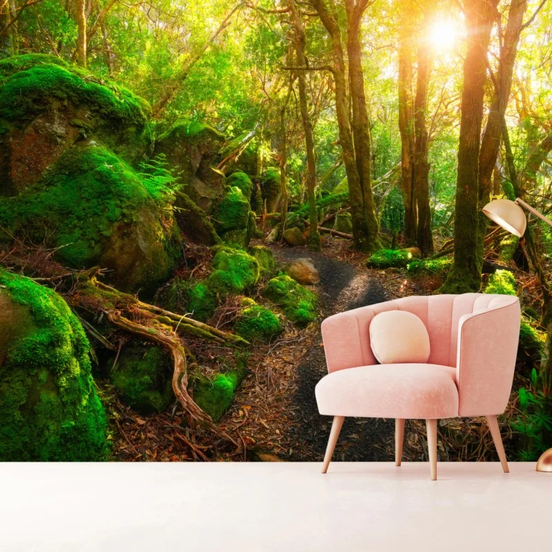 Fotomural sendero jurásico en Tasmania