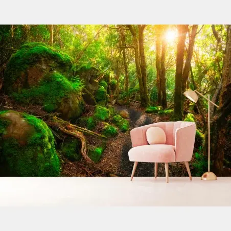Fotomural sendero jurásico en Tasmania – Pixers®