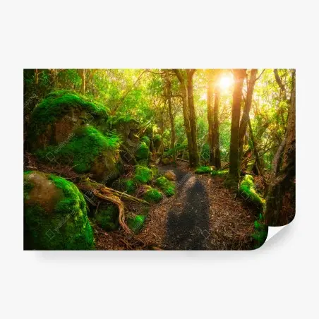Fotomural sendero jurásico en Tasmania – Pixers®