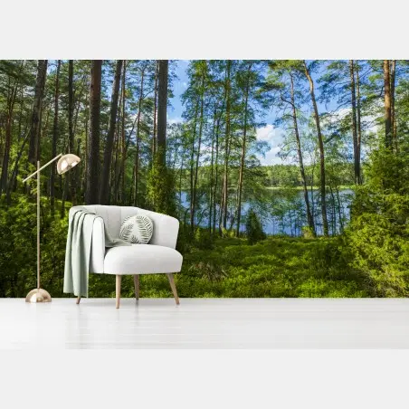 Fotomural bosque de pinos junto al lago – Pixers®