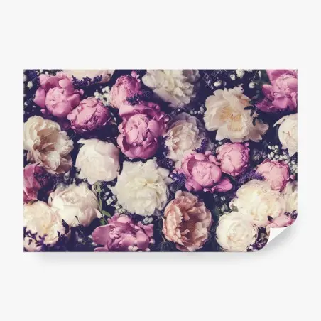 Fotomural mural floral de peonías en tonos pastel – Pixers®