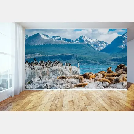 Fotomural colonia de lobos marinos y aves marinas frente a montañas nevadas – Pixers®