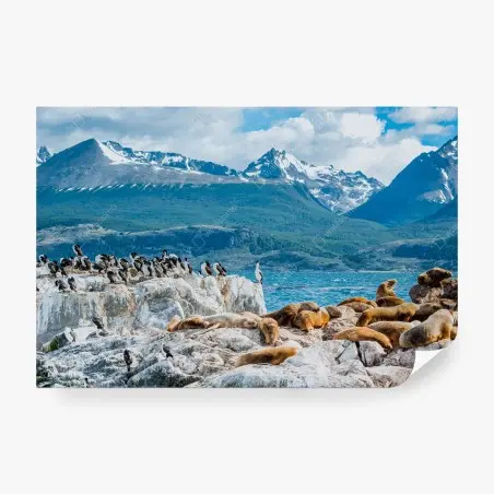 Fotomural colonia de lobos marinos y aves marinas frente a montañas nevadas – Pixers®
