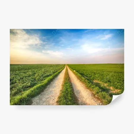 Fotomural camino rural hacia el horizonte entre campos verdes – Pixers®