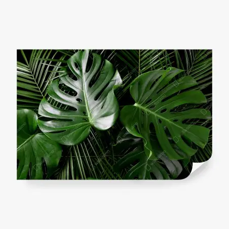 Fotomural composición de hojas tropicales verdes – Pixers®
