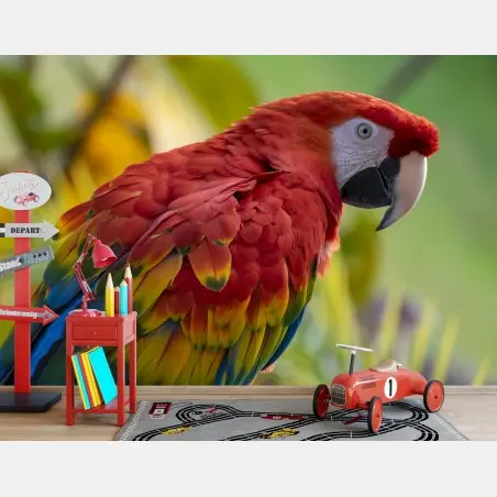 Fotomural guacamayo escarlata de plumaje vibrante – Pixers®