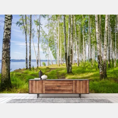 Fotomural bosque de abedules junto al río – Pixers®
