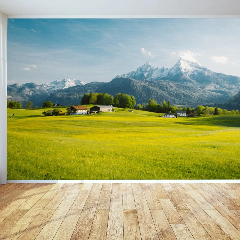Fotomural serenidad alpina: pradera y cumbres nevadas