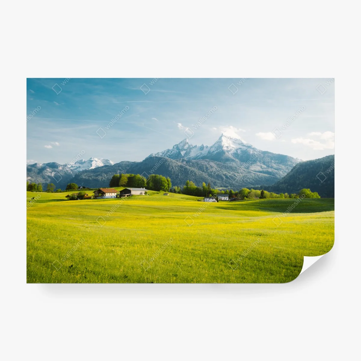 Fotomural serenidad alpina: pradera y cumbres nevadas – Pixers® Fotomural serenidad alpina: pradera y cumbres nevadas – Pixers®