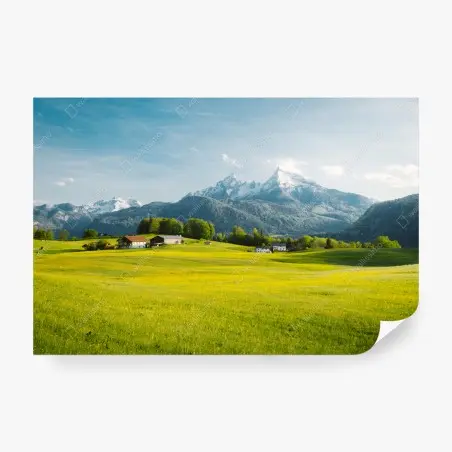 Fotomural serenidad alpina: pradera y cumbres nevadas – Pixers®