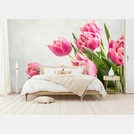 Fotomural tulipanes rosas con gotas de rocío – Pixers®