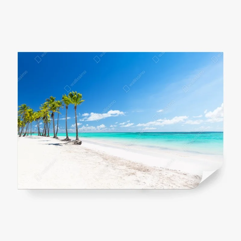 Fotomural brisa tropical en Punta Cana