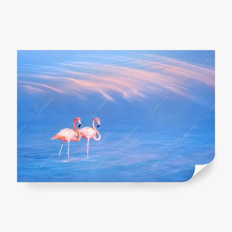 Fotomural pareja de flamencos sobre agua azul al atardecer