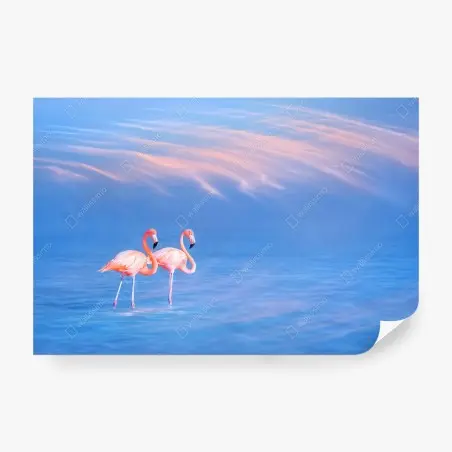 Fotomural pareja de flamencos sobre agua azul al atardecer – Pixers®