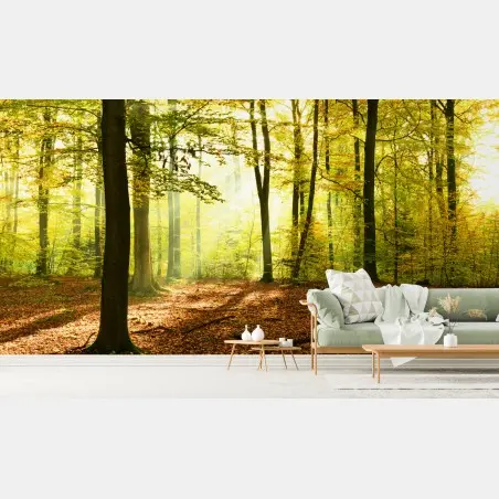 Fotomural amanecer otoñal en el bosque dorado – Pixers®