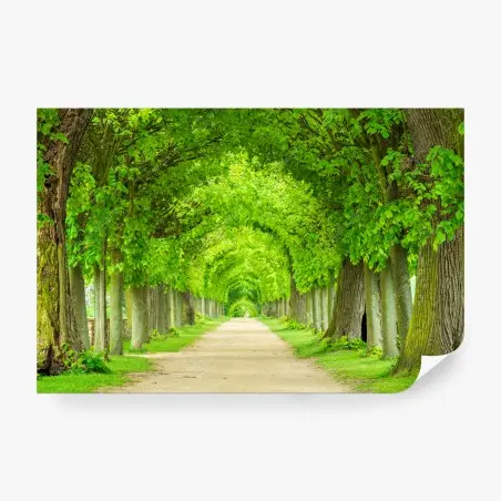 Fotomural túnel verde de árboles en perspectiva – Pixers®